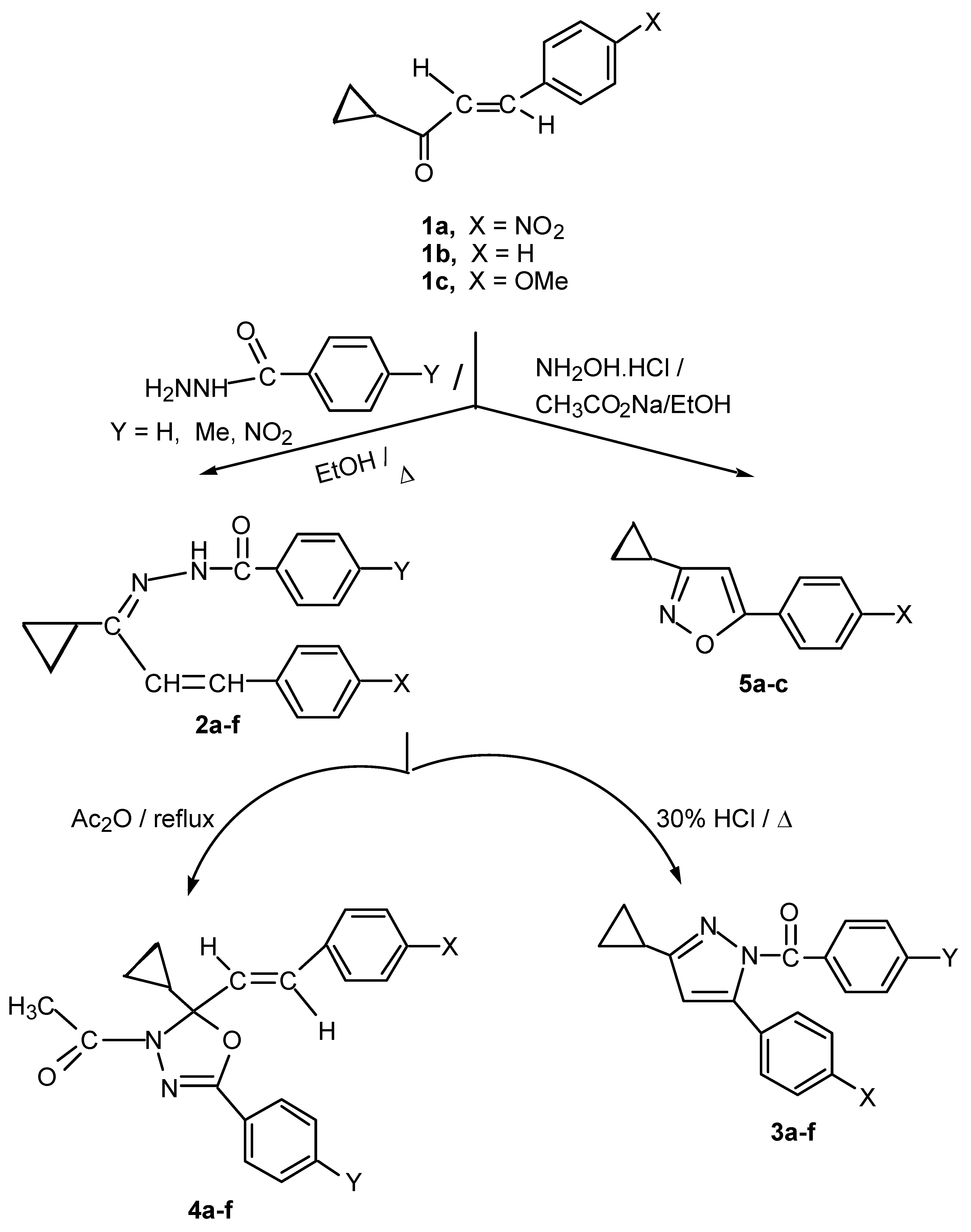 Molecules 16 02304 sch001