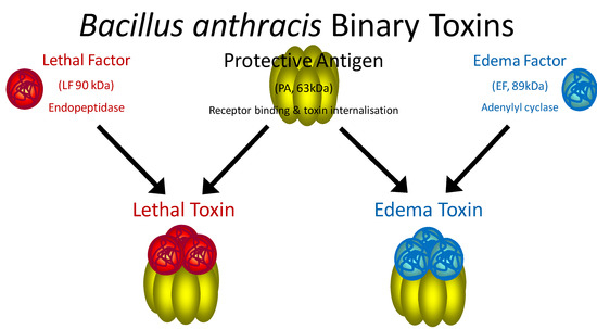 Molecules 16 02391 g001 550