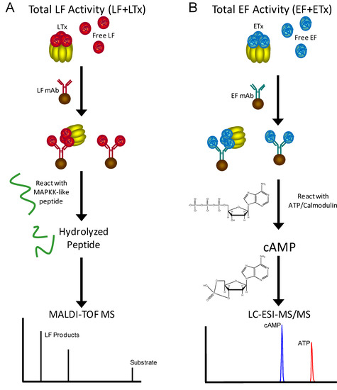 Molecules 16 02391 g002 550
