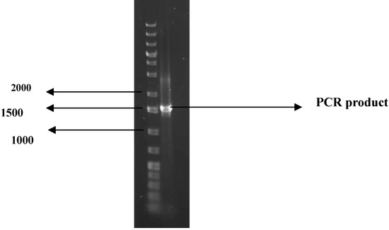 Molecules 16 02431 g001 550