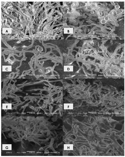 Molecules 16 02486 g004 550