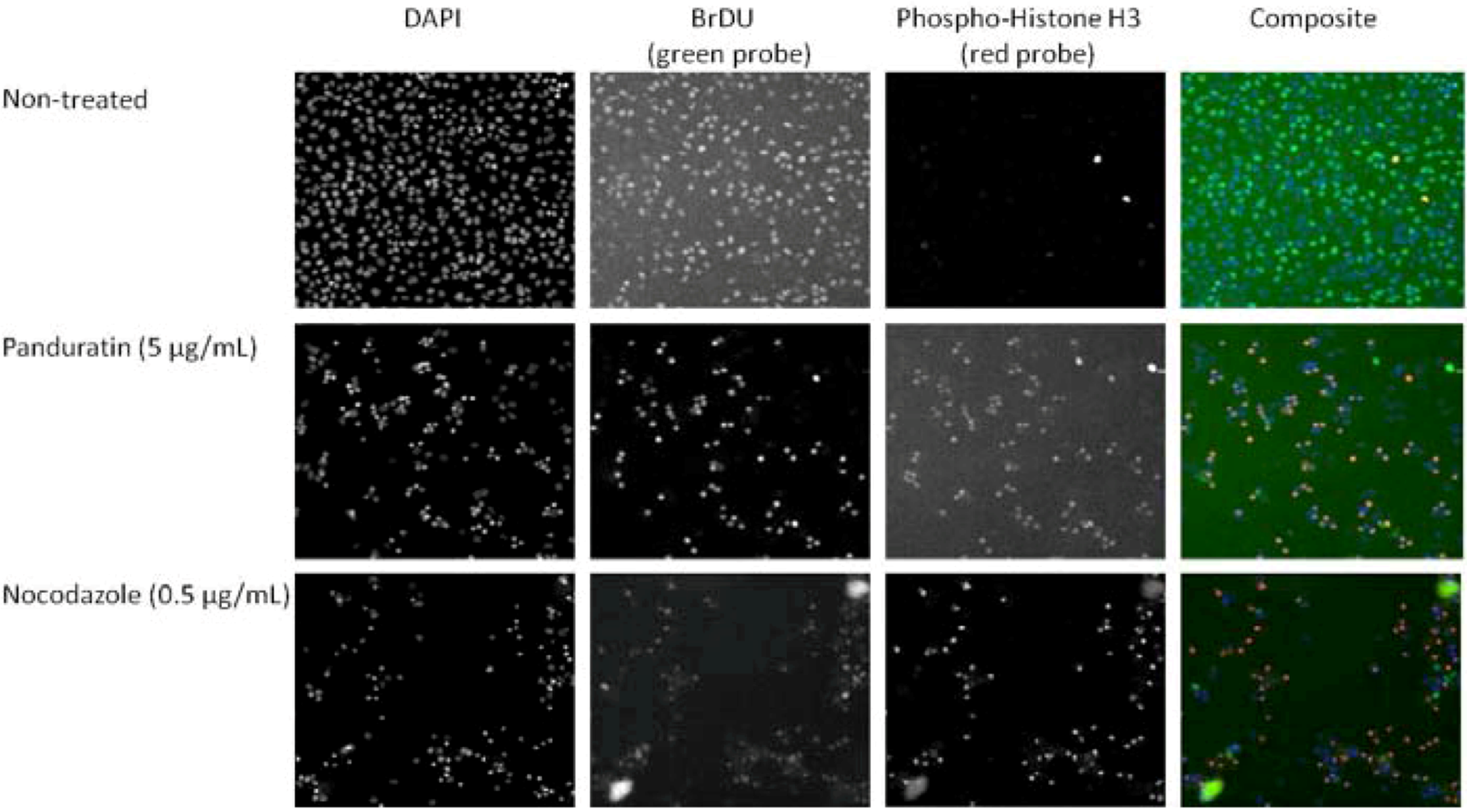 Molecules 16 02583 g005