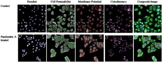 Molecules 16 02583 g006 550