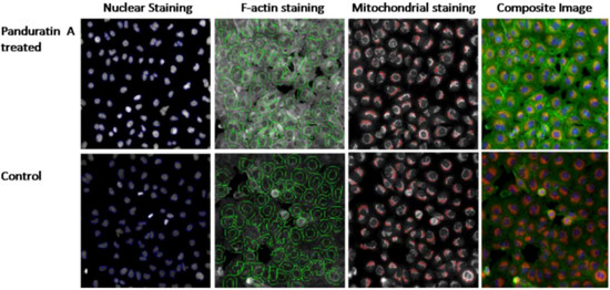 Molecules 16 02583 g008 550