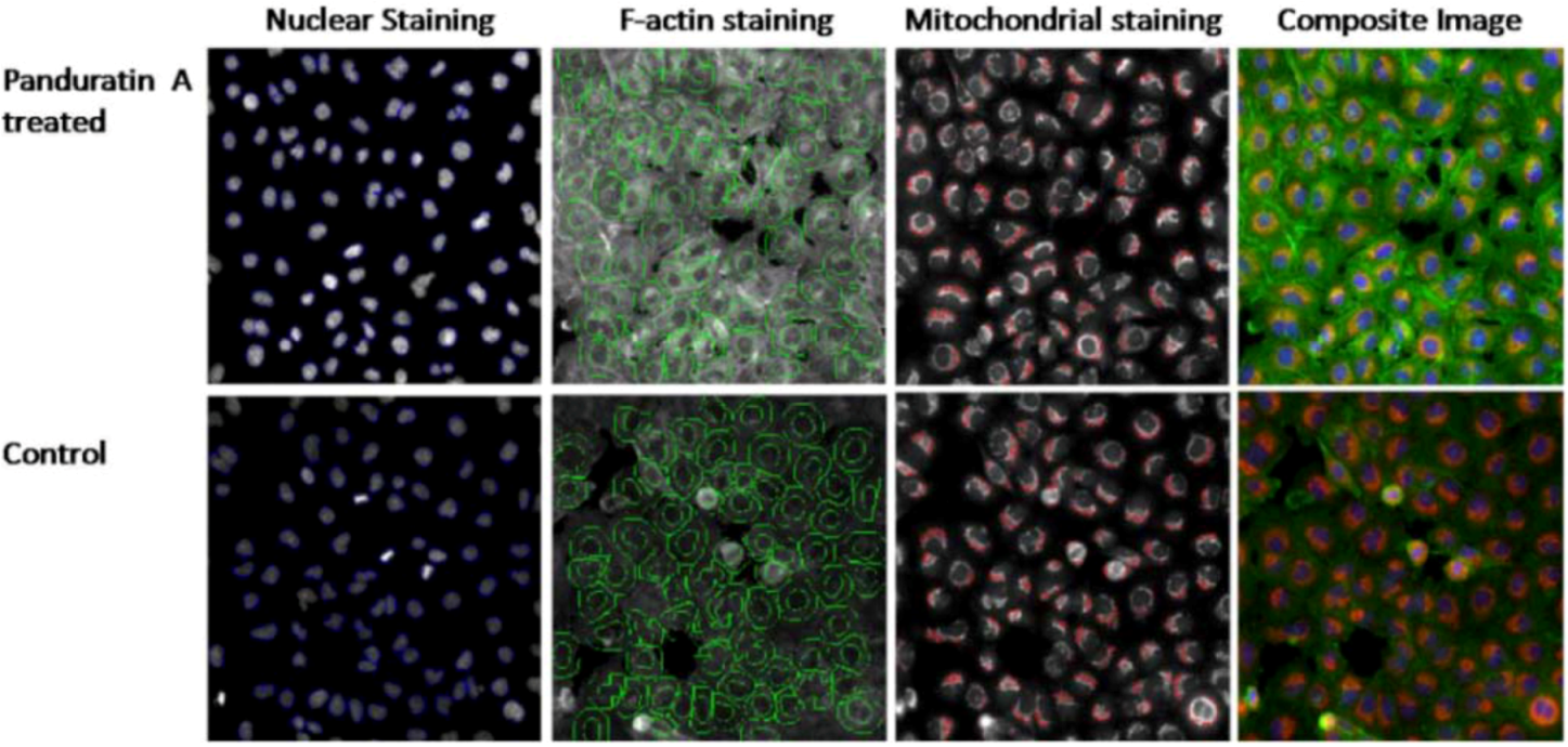 Molecules 16 02583 g008