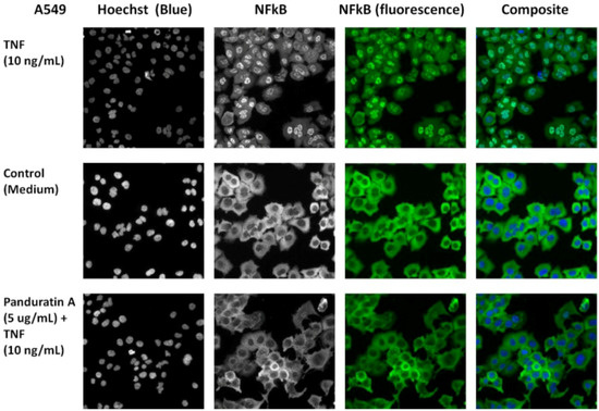 Molecules 16 02583 g011 550