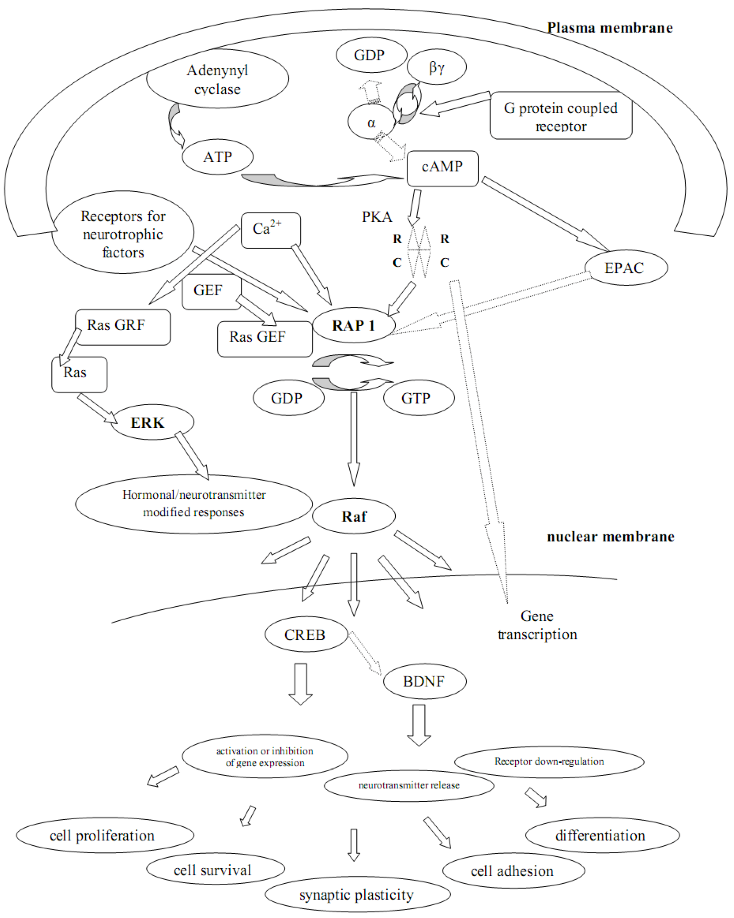 Molecules 16 02688 g002