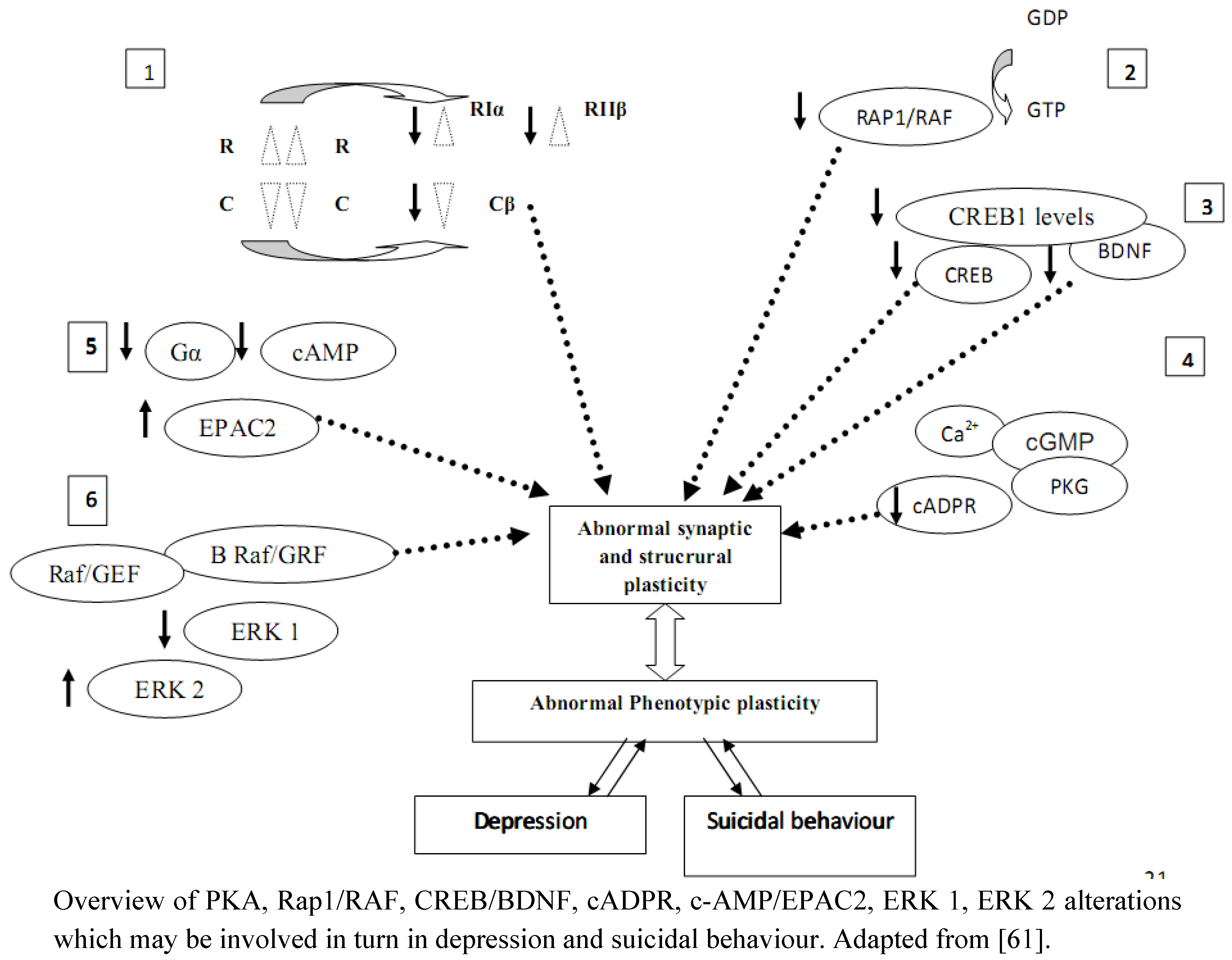 Molecules 16 02688 g004
