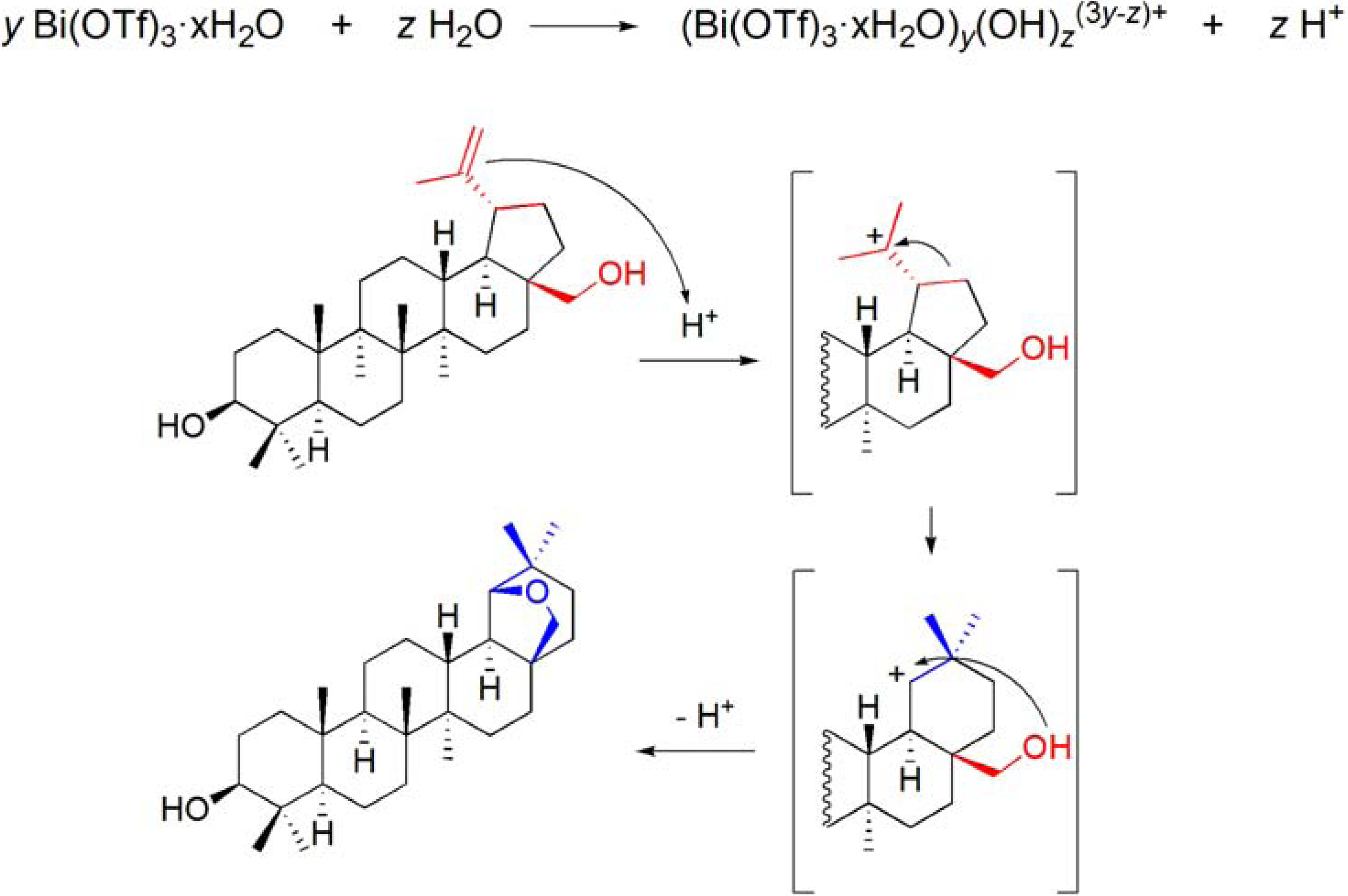Molecules 16 02884 g031