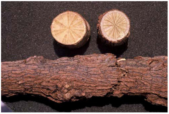 Molecules 16 03001 g001 550