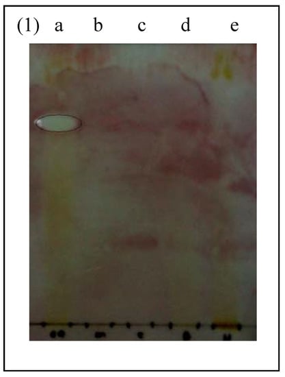 Molecules 16 03037 g001 550