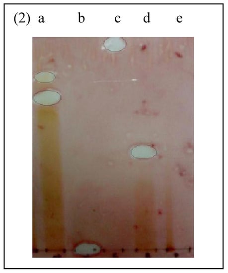 Molecules 16 03037 g002 550