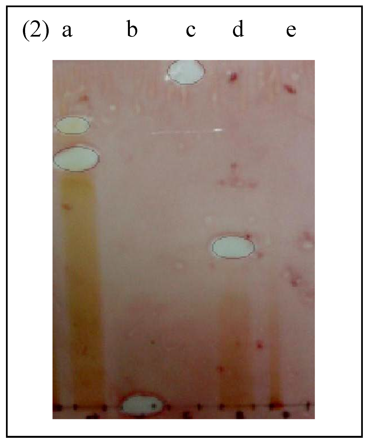 Molecules 16 03037 g002