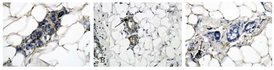 Molecules 16 03048 g004 550