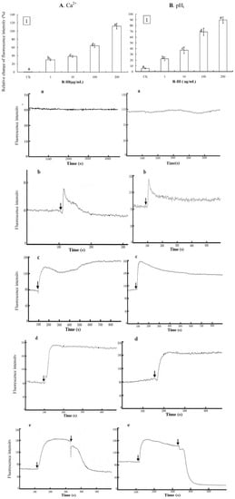 Molecules 16 03179 g004 550