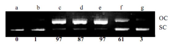 Molecules 16 03212 g002 550
