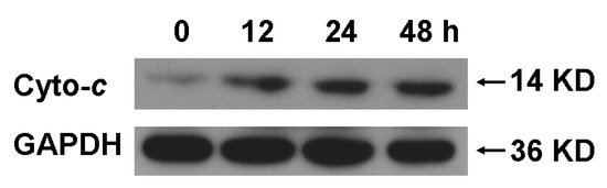 Molecules 16 03222 g004 550