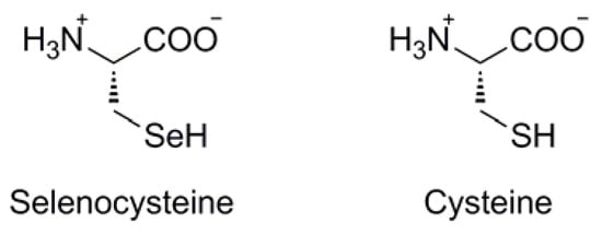 Molecules 16 03232 g002 550