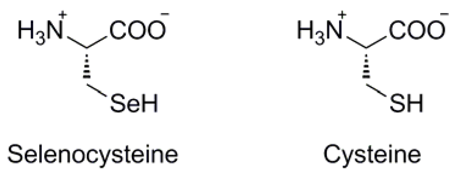 Molecules 16 03232 g002