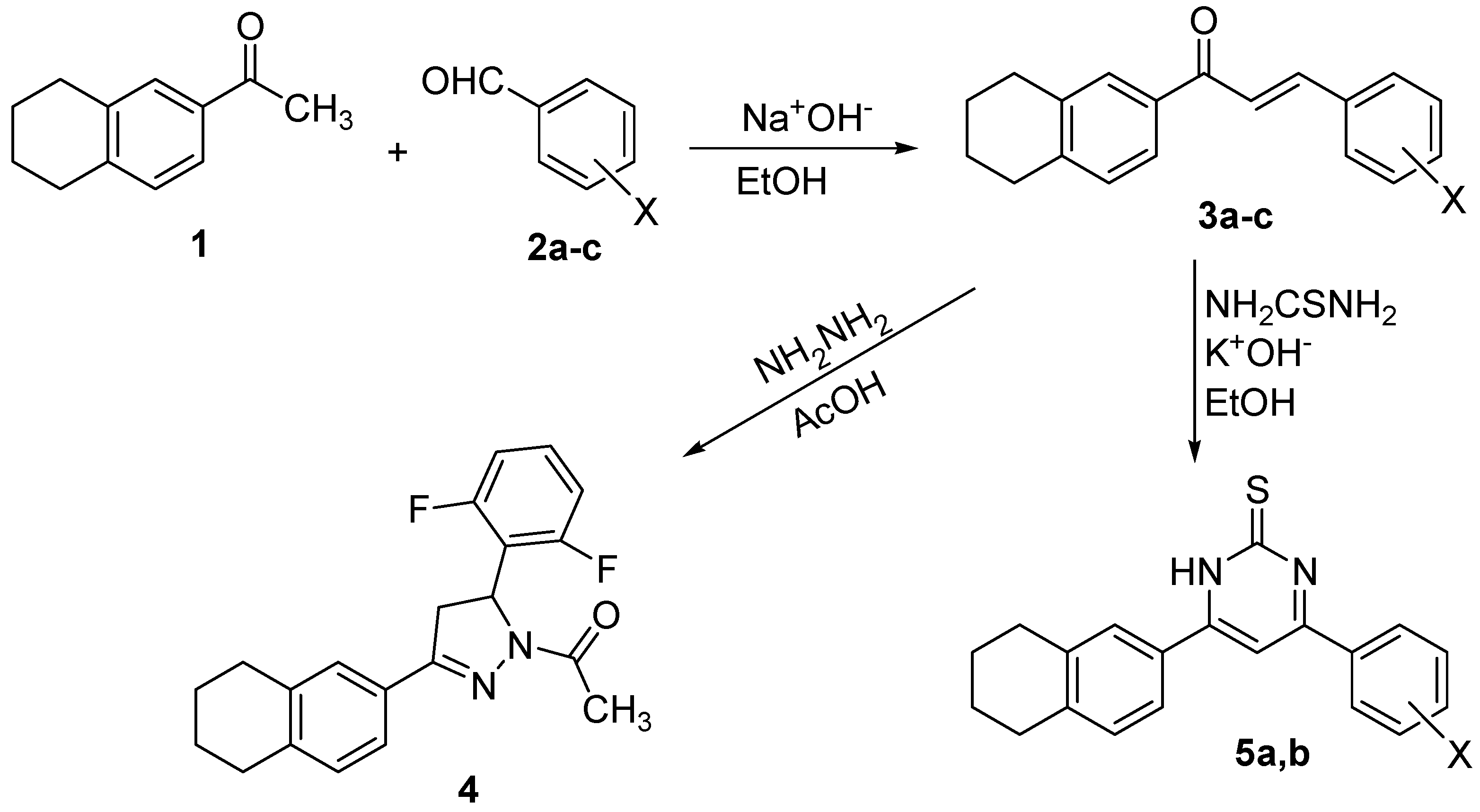 Molecules 16 03410 sch001