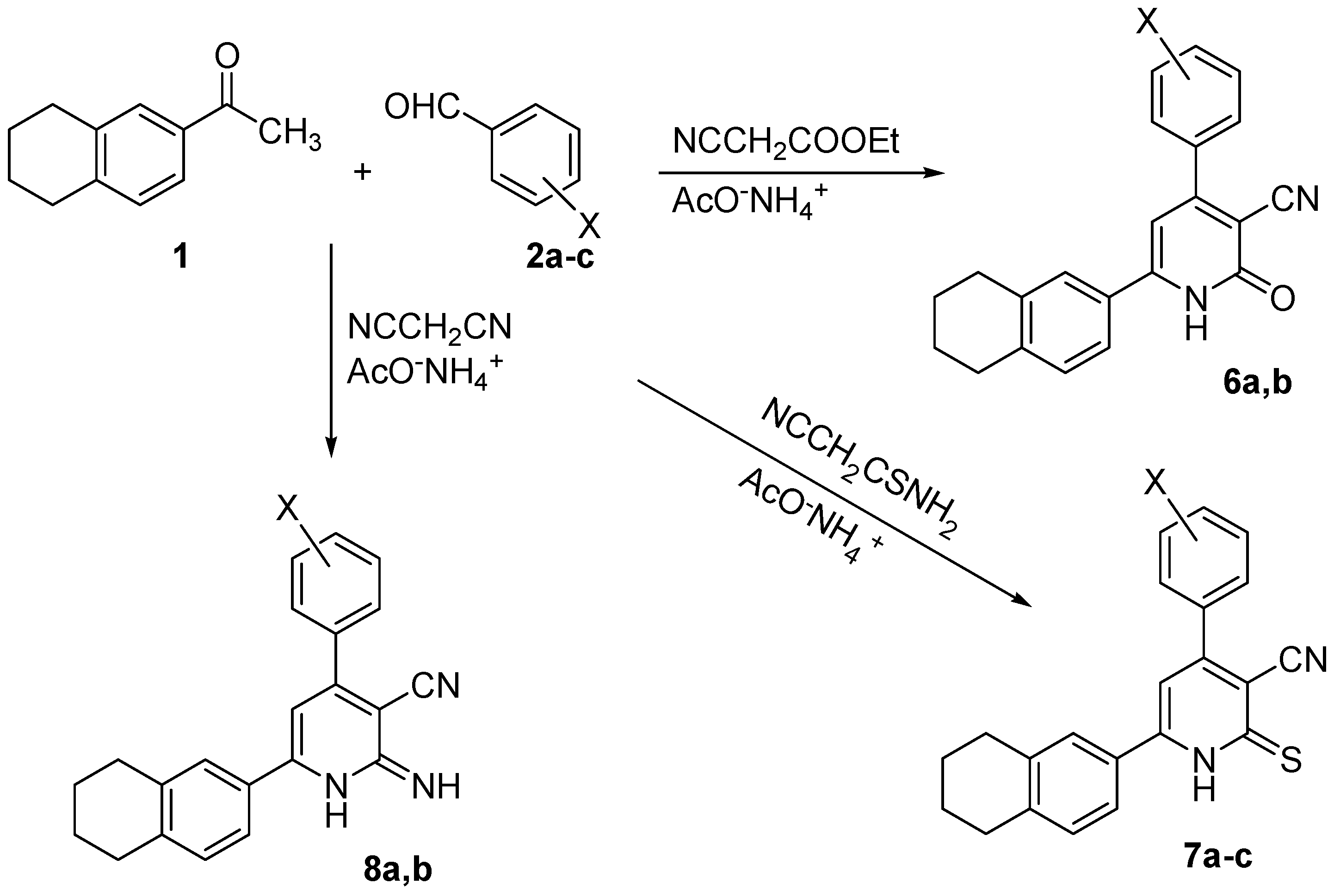 Molecules 16 03410 sch002