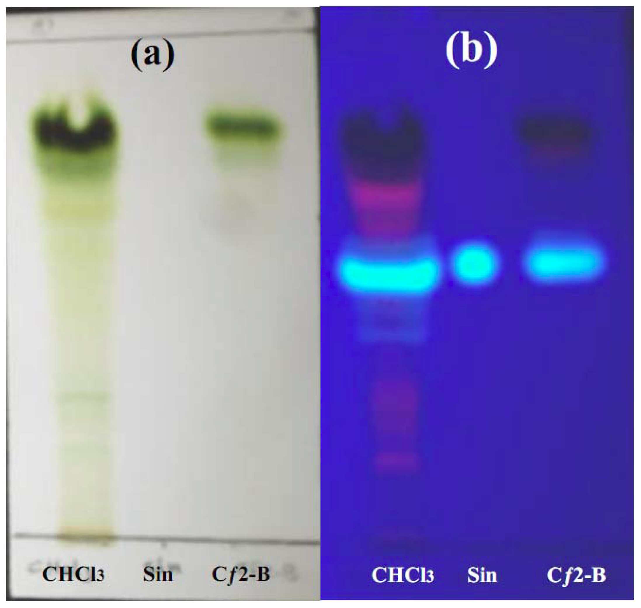 Molecules 16 03787 g007