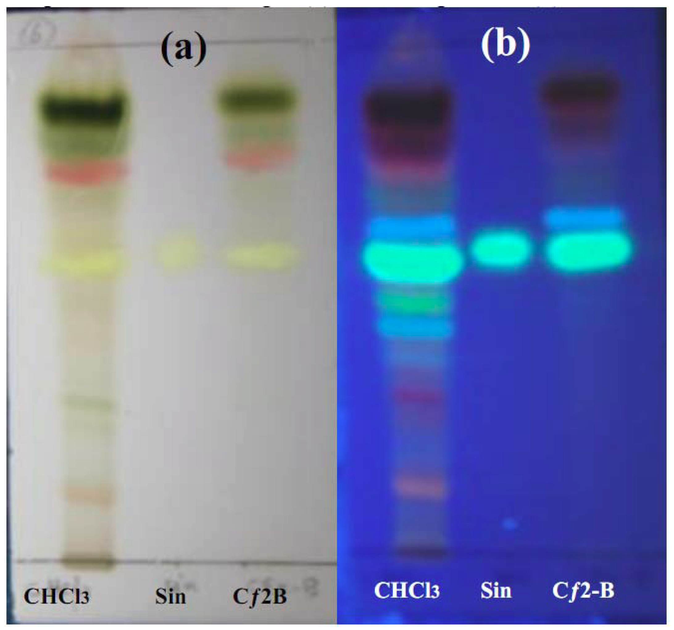 Molecules 16 03787 g008
