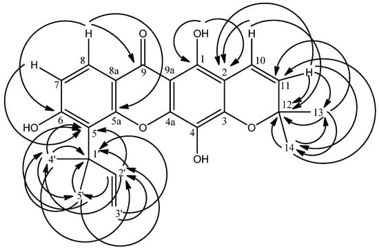 Molecules 16 03999 g001 550