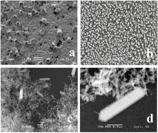 Molecules 16 04451 g002 550