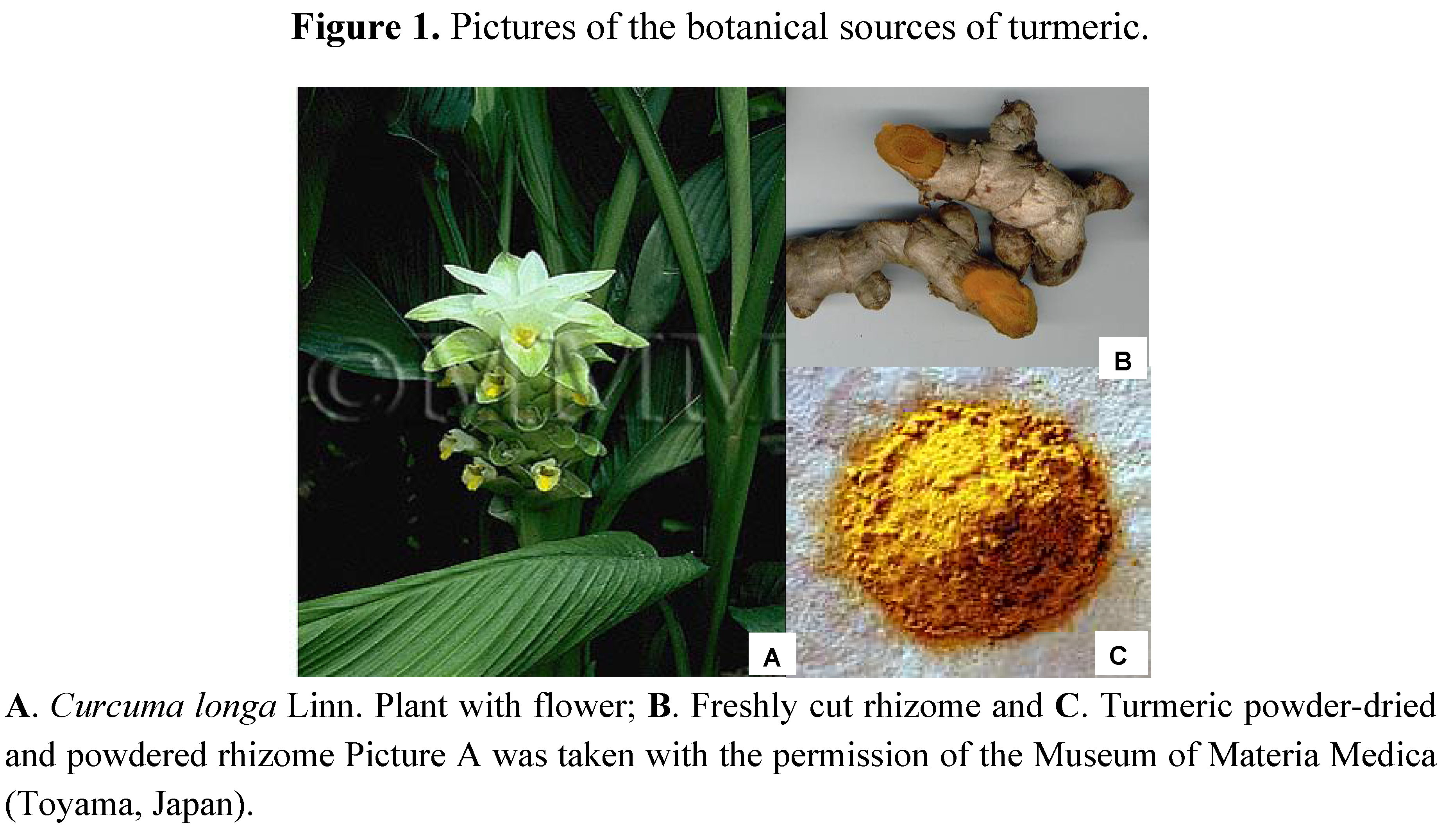 Molecules 16 04567 g001