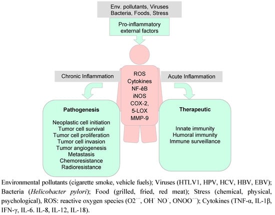 Molecules 16 04567 g004 550