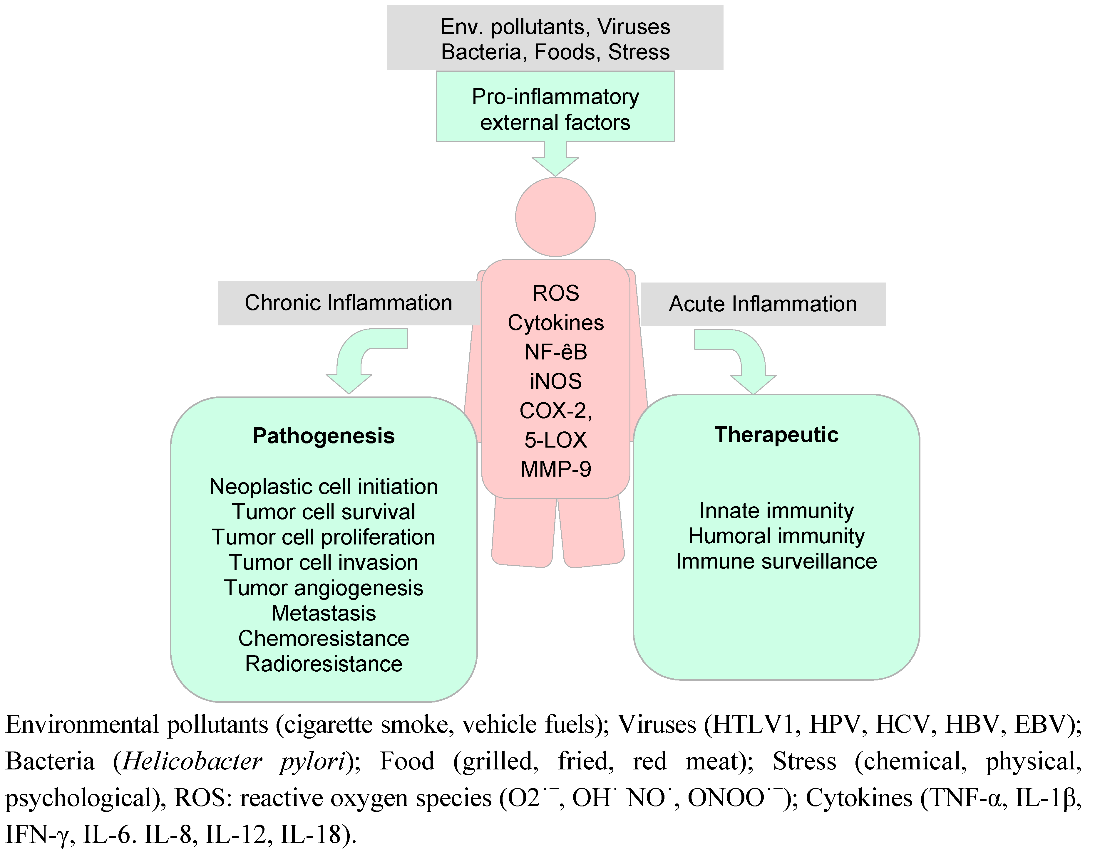 Molecules 16 04567 g004