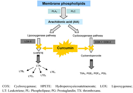 Molecules 16 04567 g005 550
