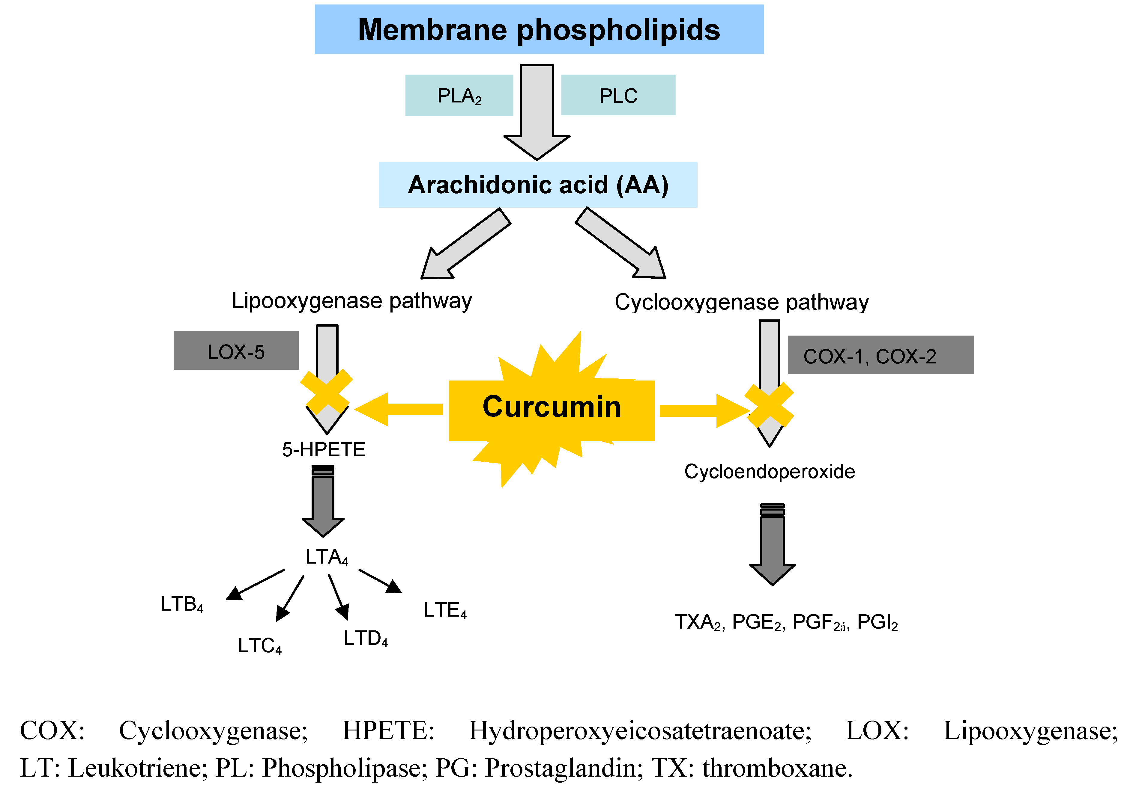 Molecules 16 04567 g005