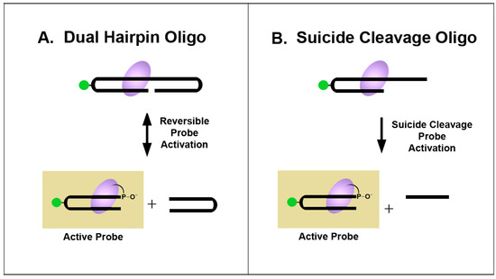 Molecules 16 04599 g003 550