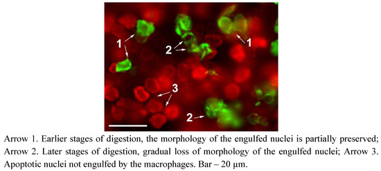 Molecules 16 04599 g005 550