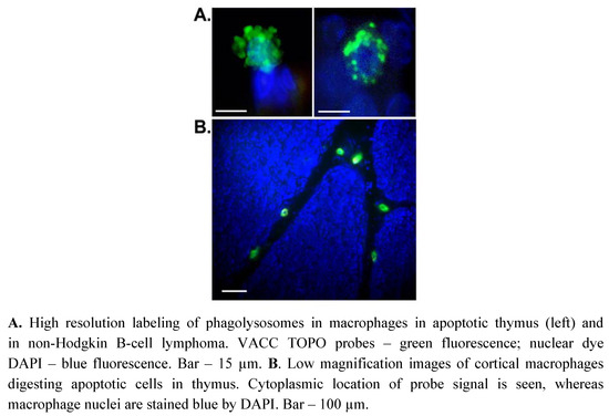 Molecules 16 04599 g007 550