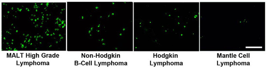 Molecules 16 04599 g008 550