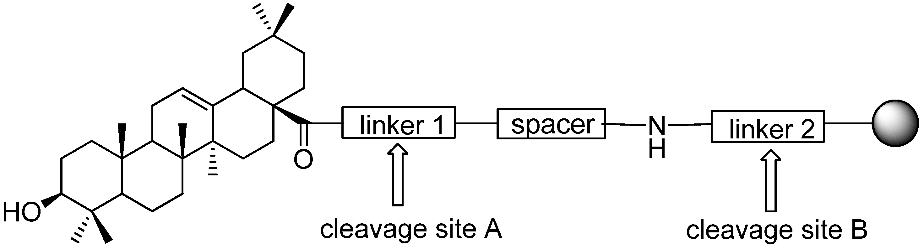 Molecules 16 04748 g002