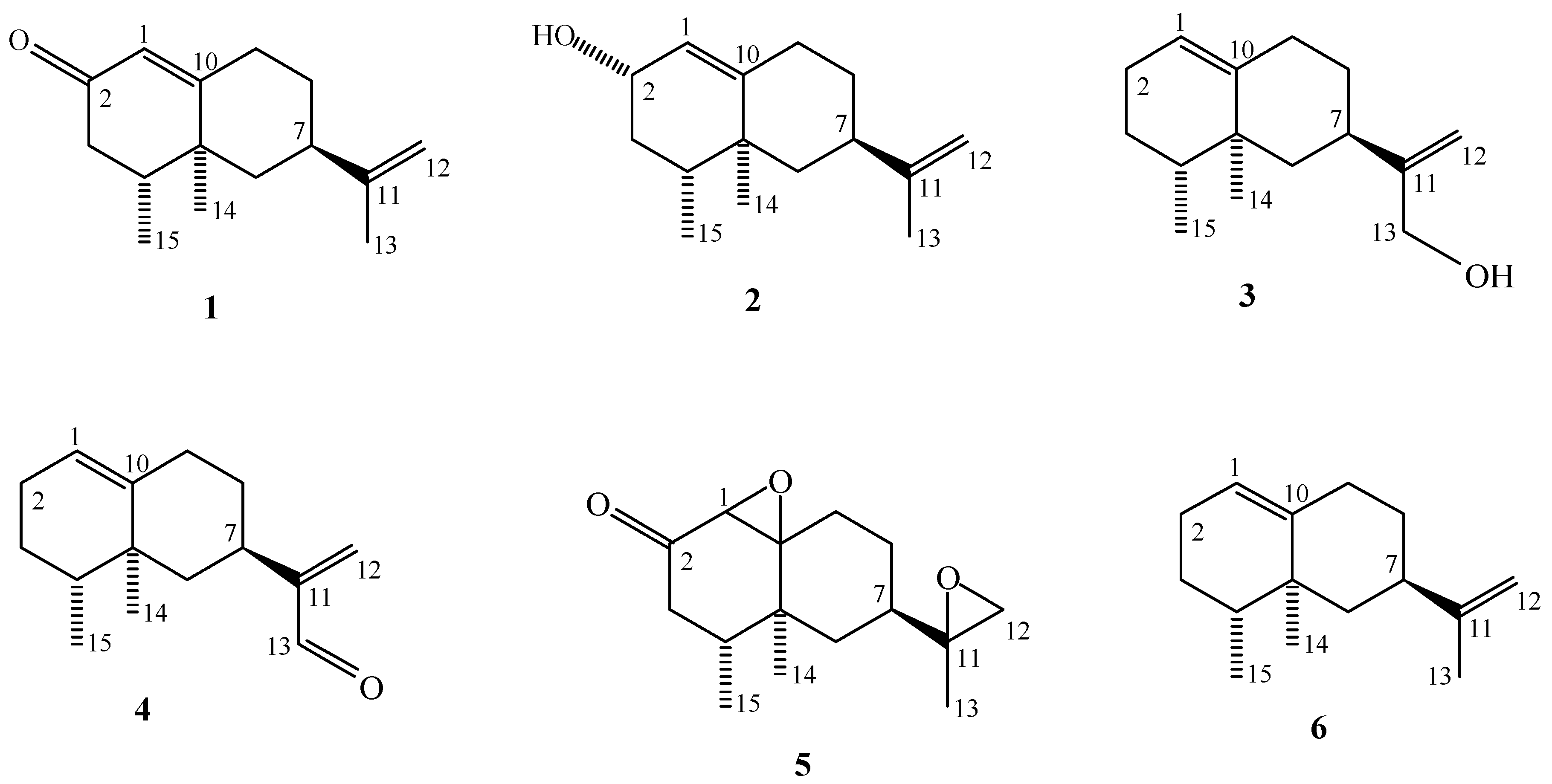 Molecules 16 04775 g001