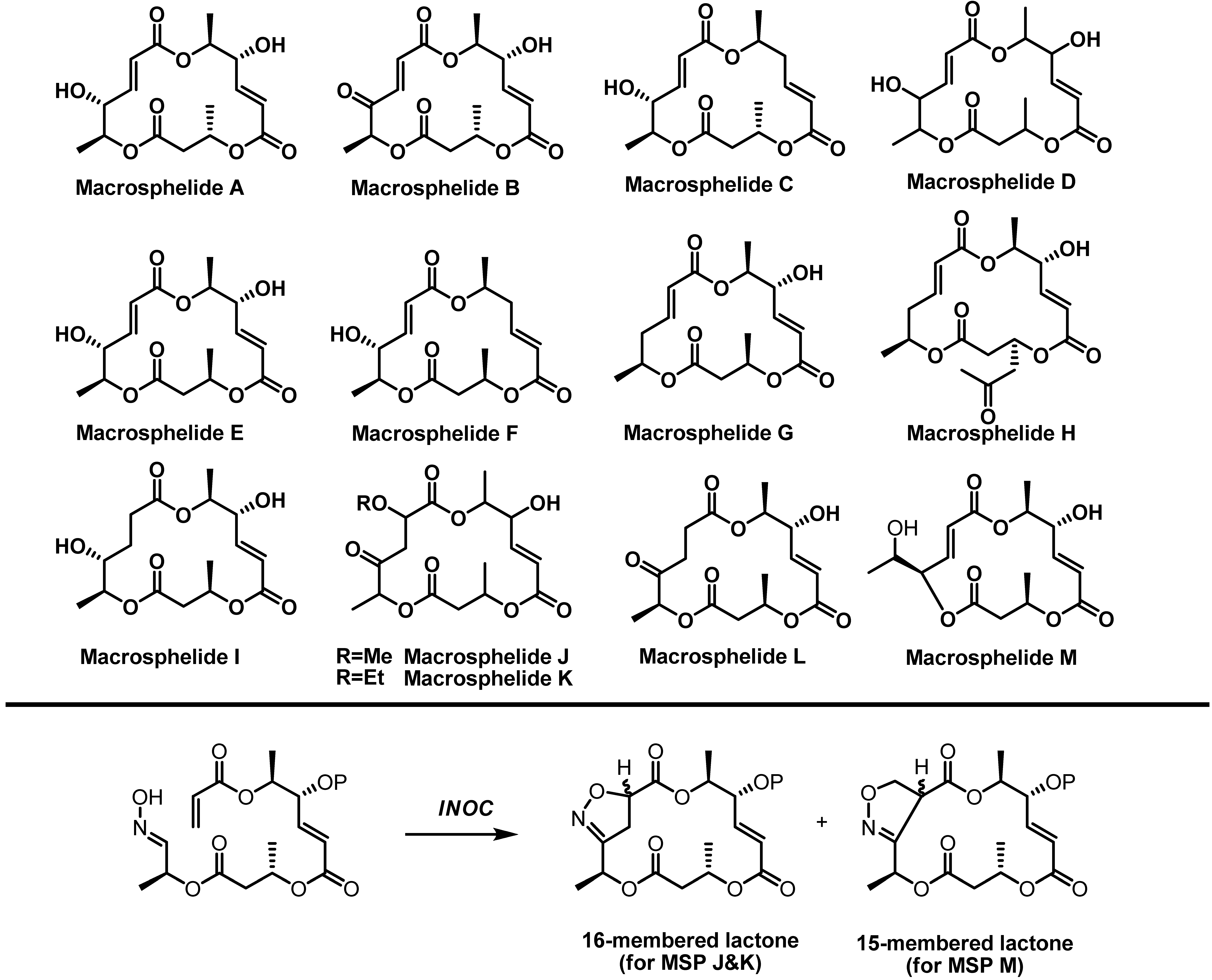 Molecules 16 04850 g002