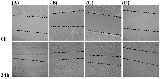 Molecules 16 04958 g004 550