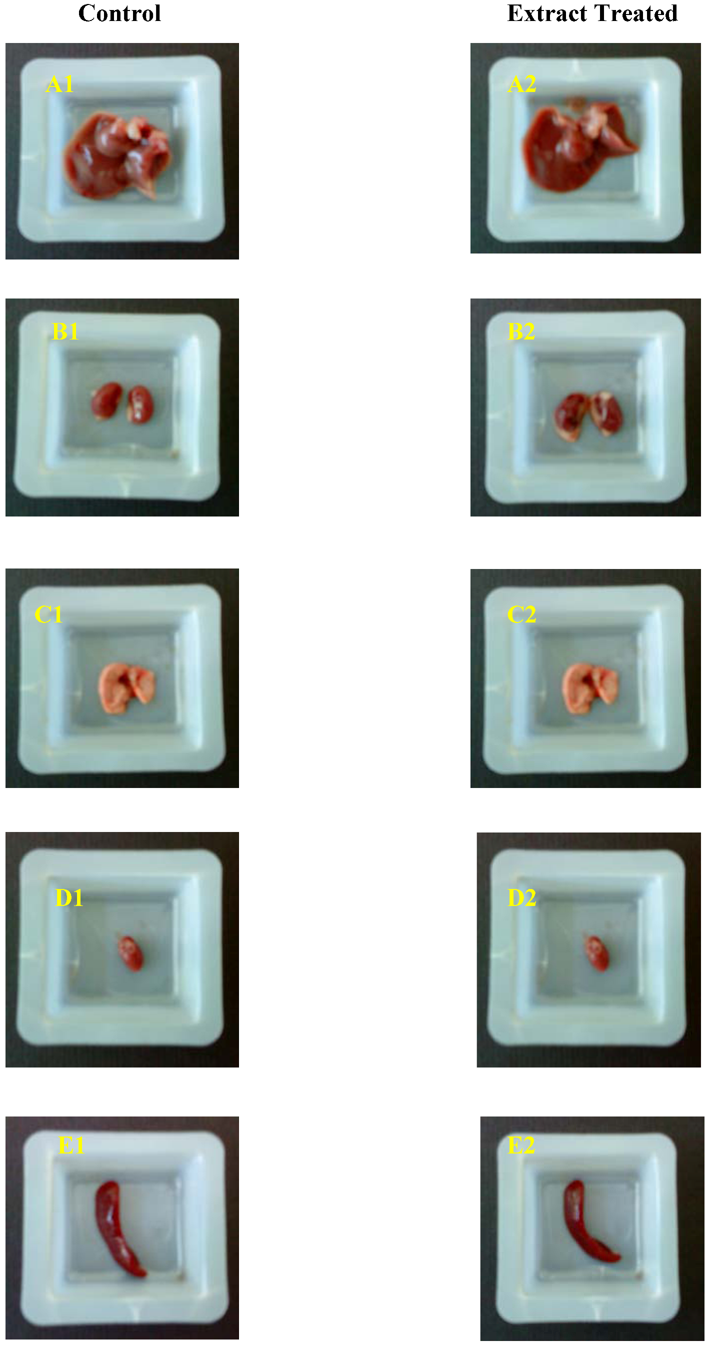 Molecules 16 05268 g001