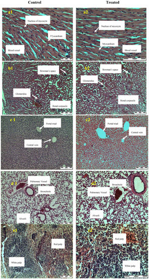 Molecules 16 05268 g002 550