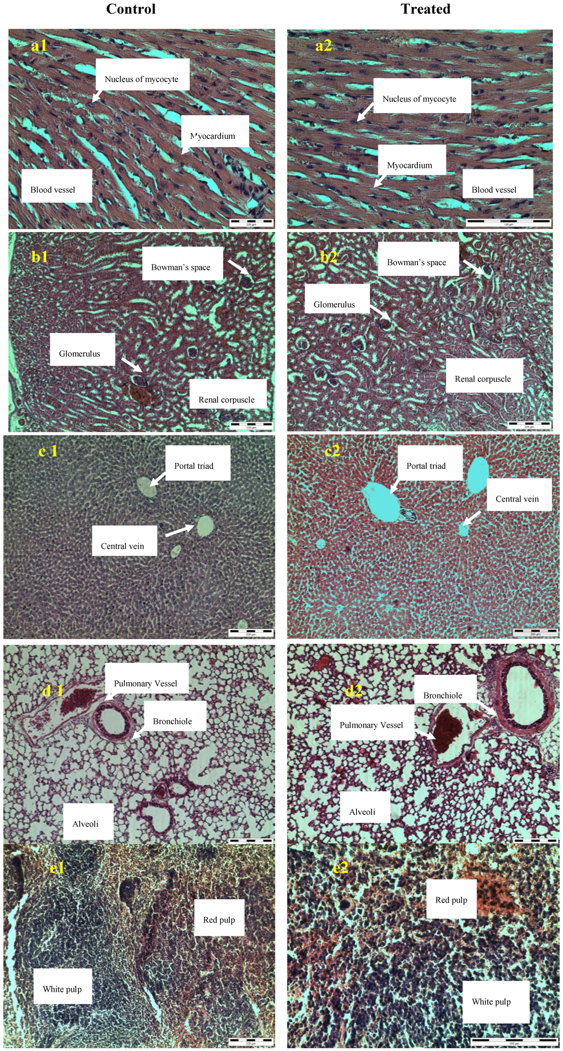Molecules 16 05268 g002