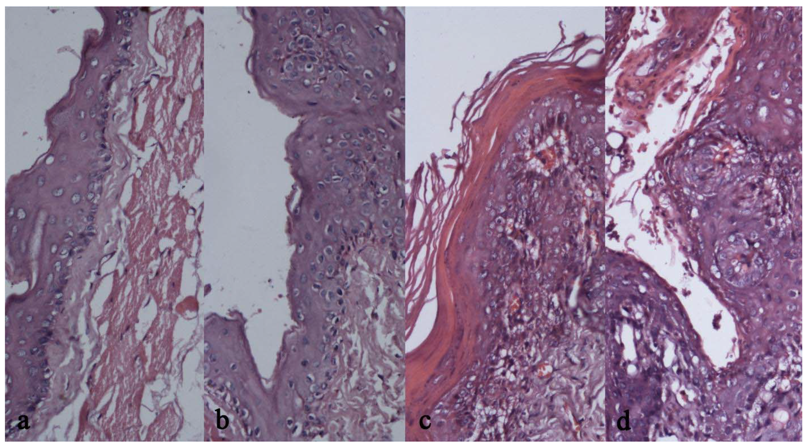 Molecules 16 05315 g003