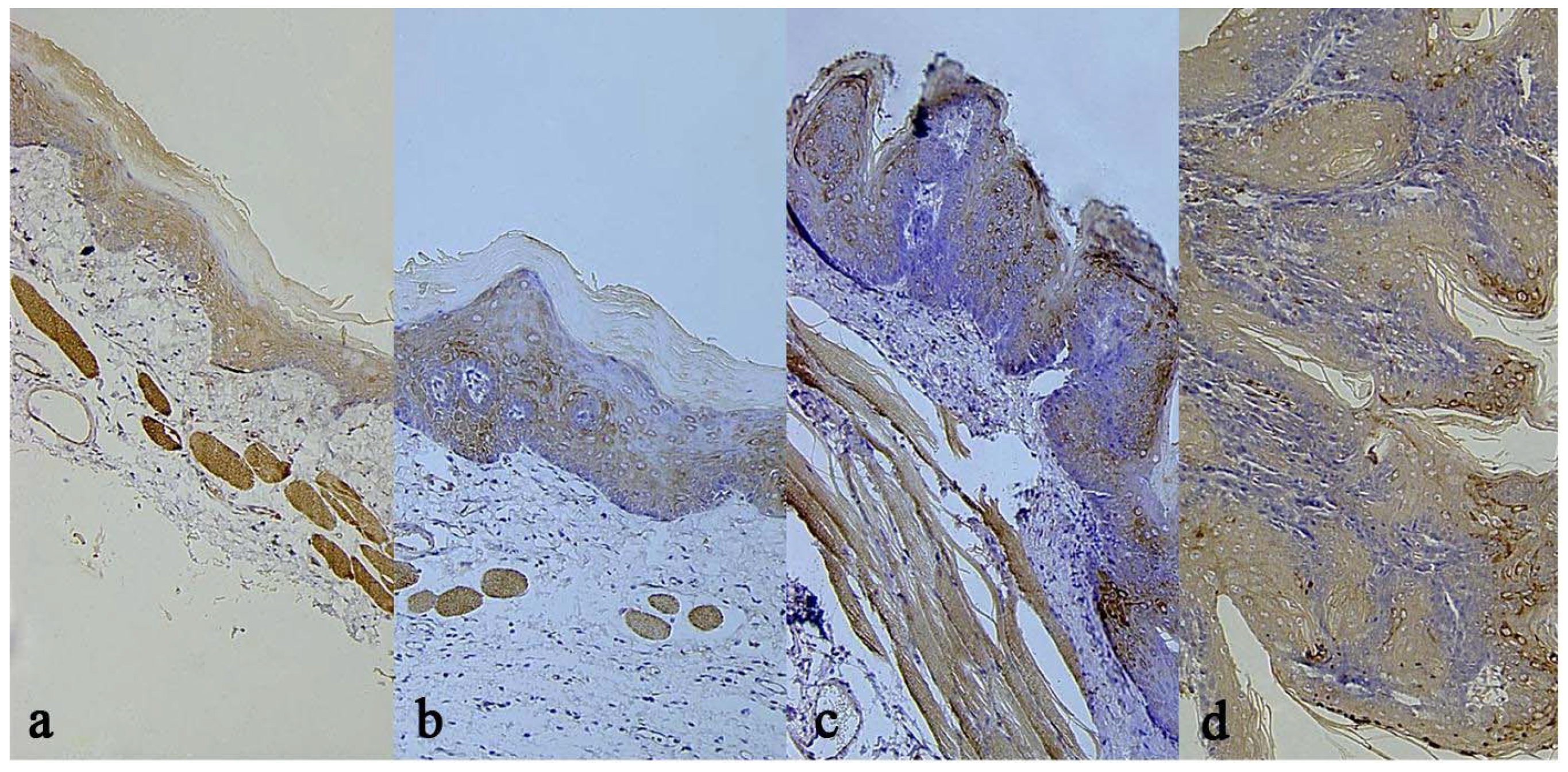 Molecules 16 05315 g004