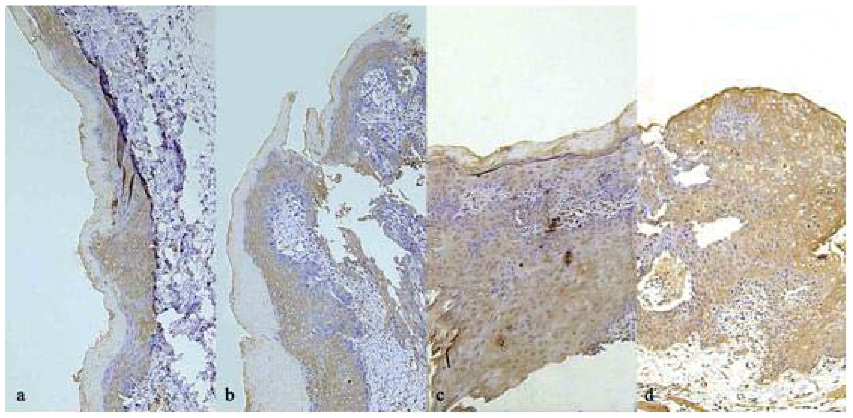 Molecules 16 05315 g005