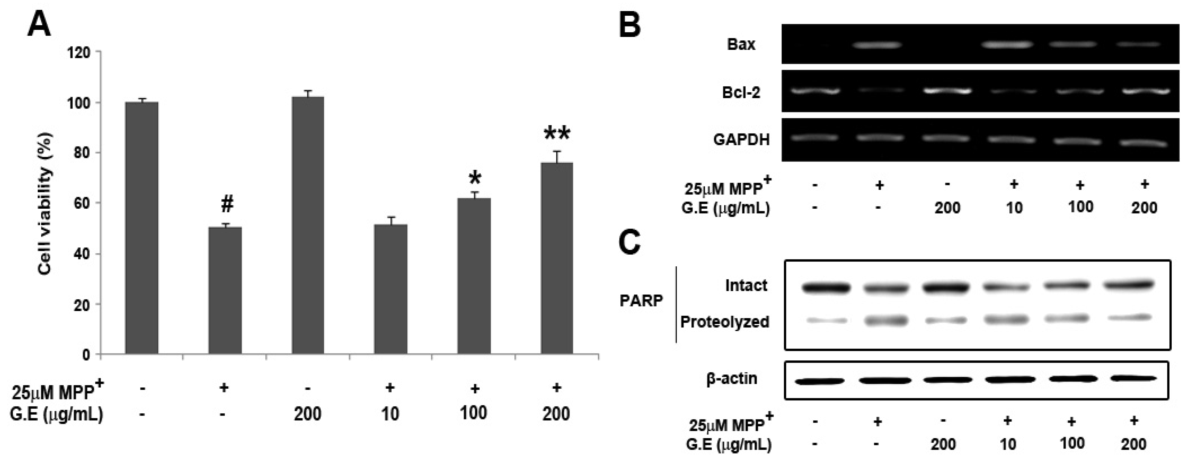 Molecules 16 05349 g001