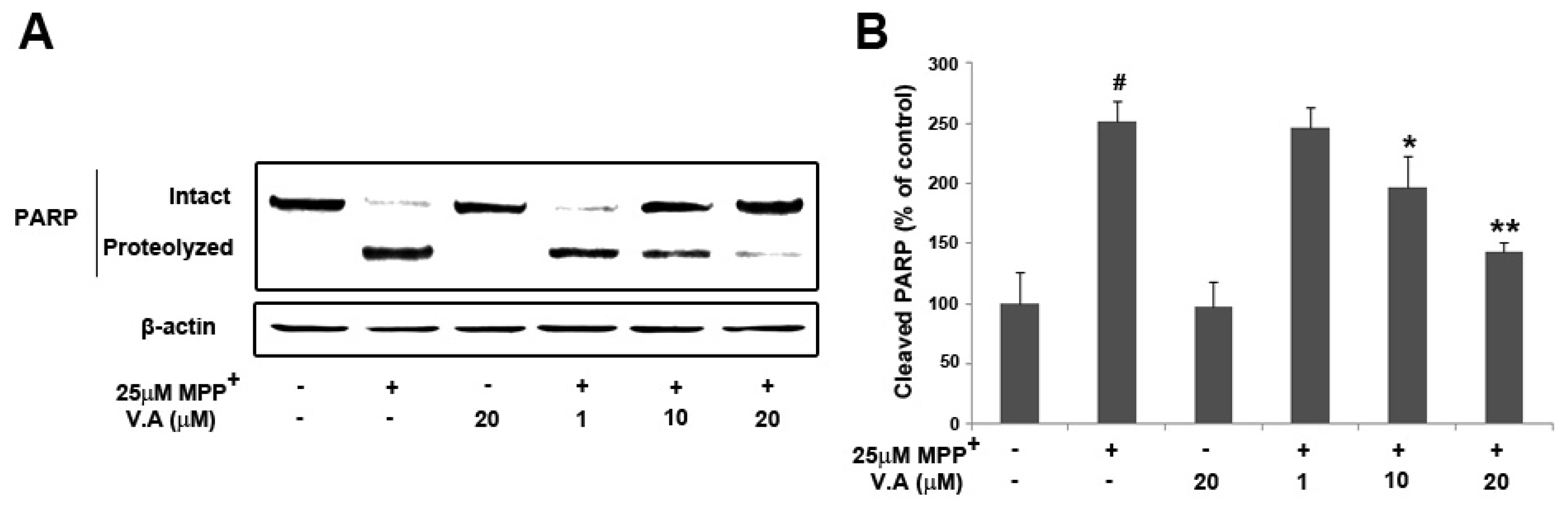 Molecules 16 05349 g007